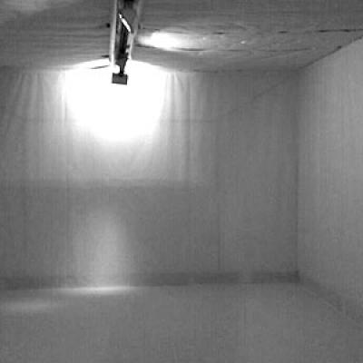 Claudio Capellini Ses Voltes Galeria 001 Claudio Capellini, instalaciones y performances