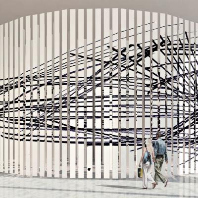 Claudio Capellini, instalaciones y performances